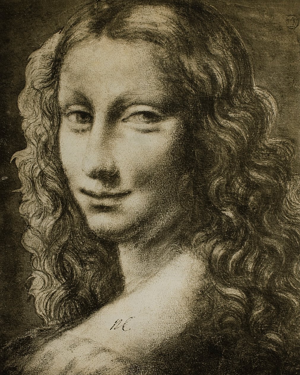 女性の肖像画。レオナルドの学校から描画します。ルーブル美術館、パリ